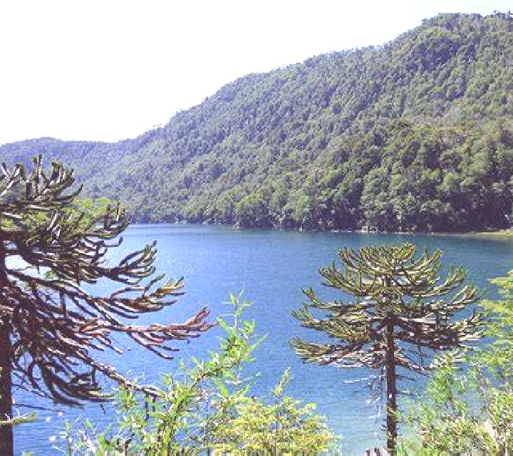 Josefina 2 Oitz escort