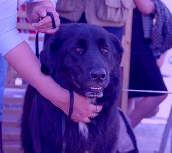 Josefina 3 Puebla de Don Fadrique escort