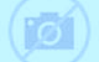 Julia Dolar escort