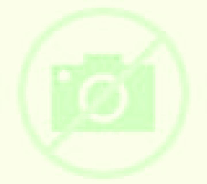 Katia Cubillas de Cerrato escort