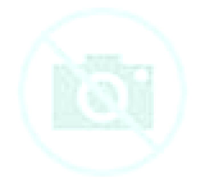 Lola 3 El Garrobo escort