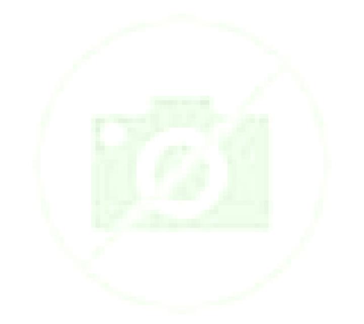 Lola Carmenes escort