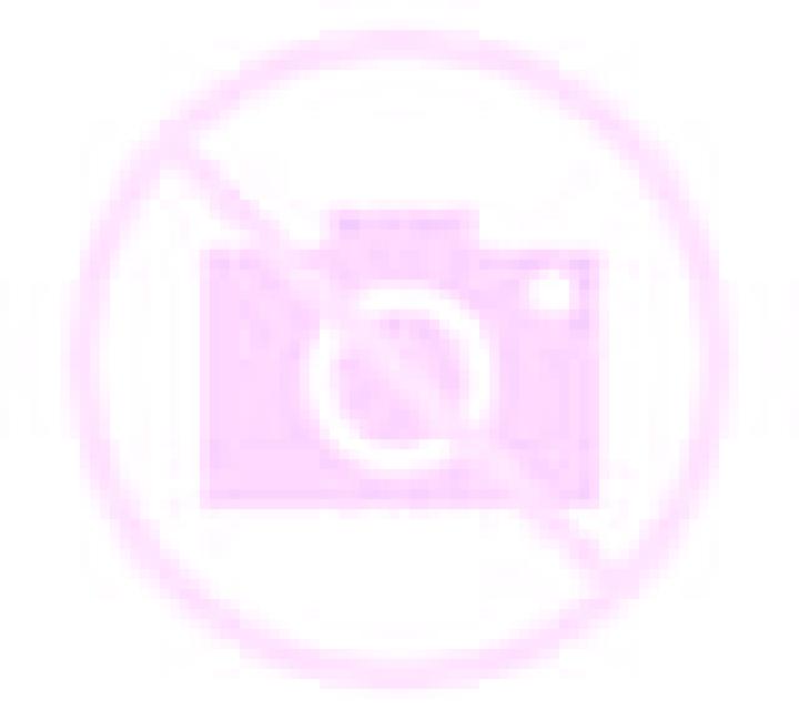 Lola Pollos escort