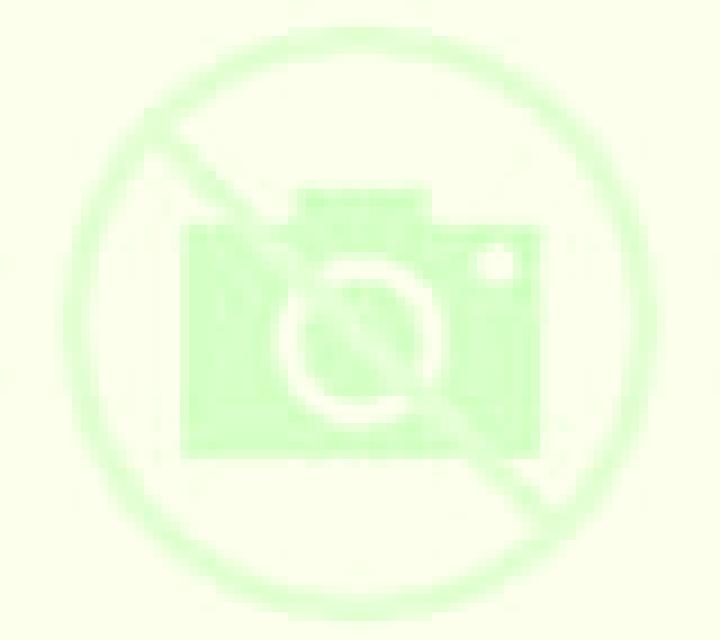 Lorena Canyelles escort