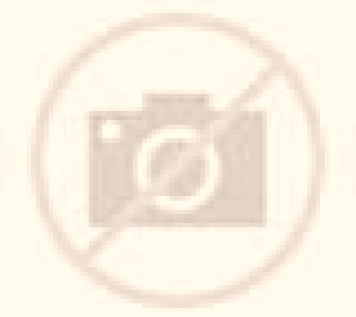 Lorena Colina escort