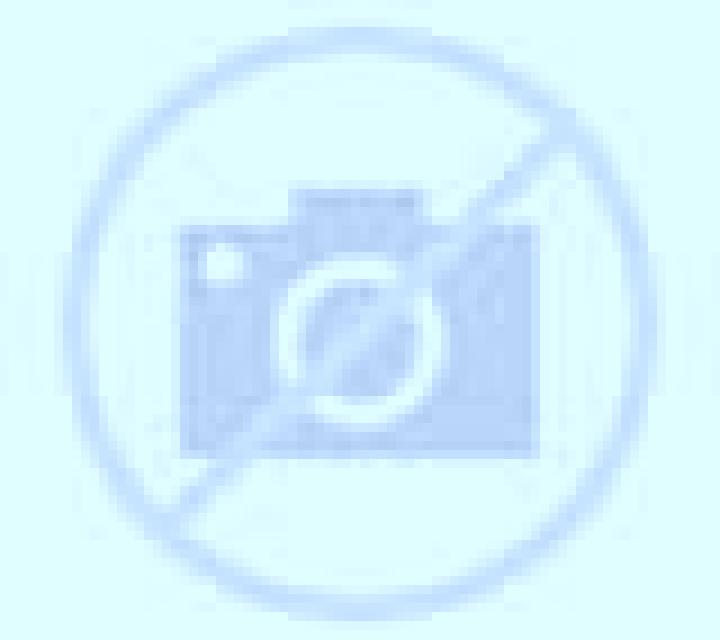 Lorena Robleda-Cervantes escort