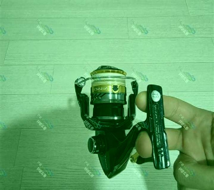 Lucía Es Pujols escort