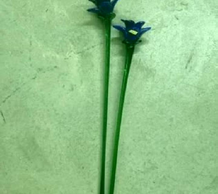Manuela Puebla de Alborton escort