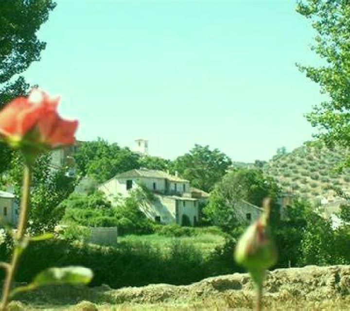 Marta Estella-Lizarra escort