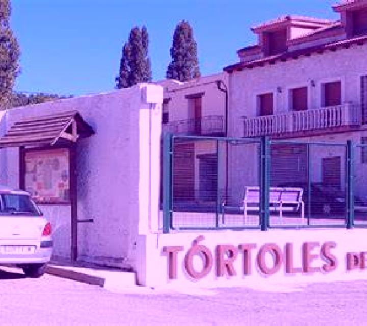 Martina 3 Argensola escort