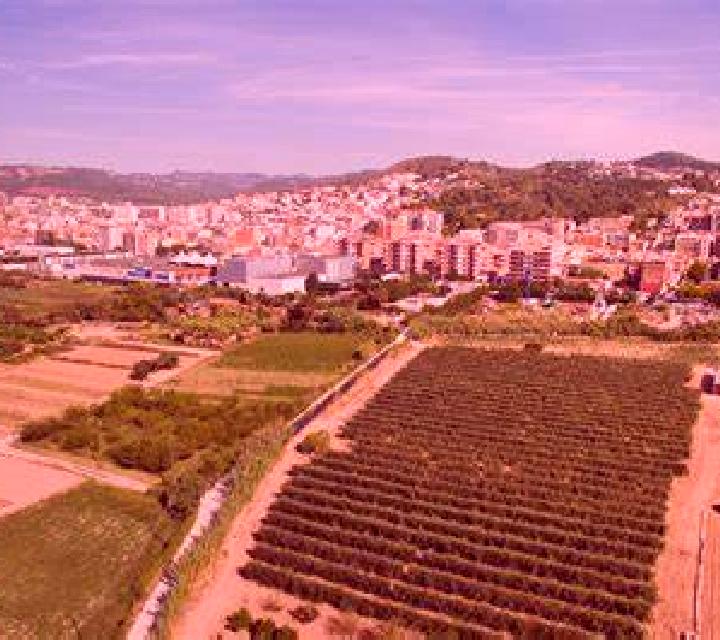 Martina 3 Castroviejo escort