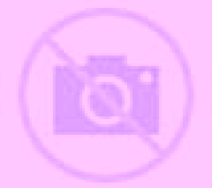 Nadia Villalon de Campos escort