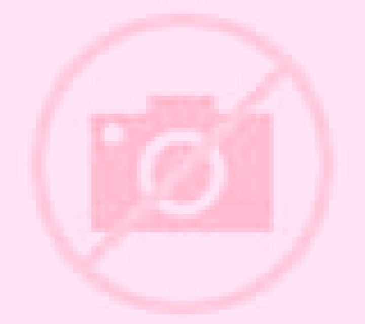 Natalia 3 Alfafara escort