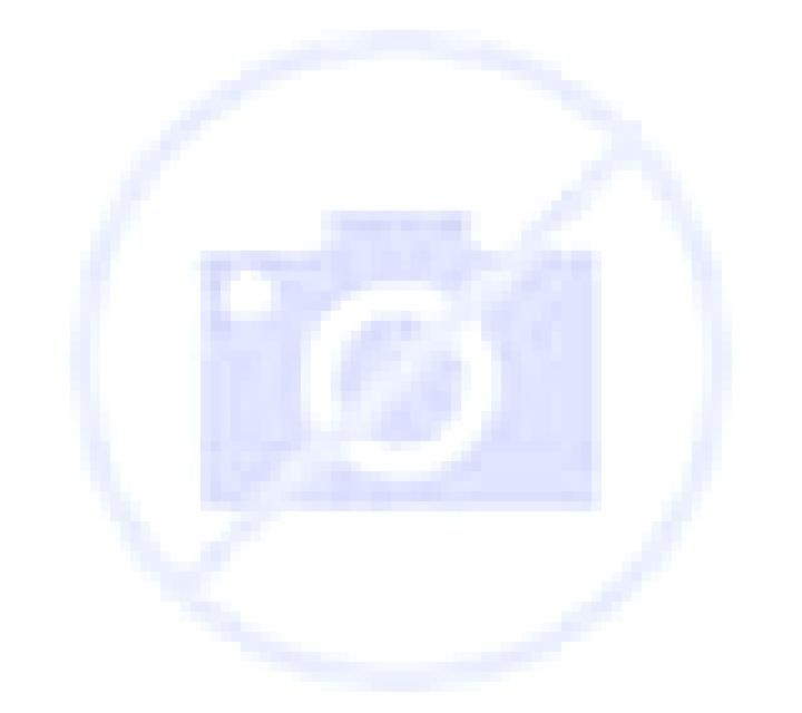 Natalia Orbara escort