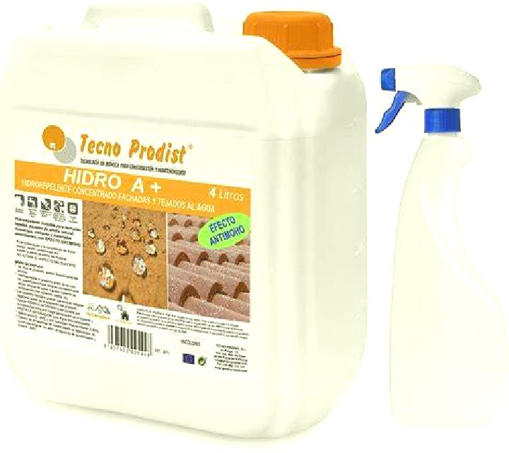 Noa 2 Torrechiva escort