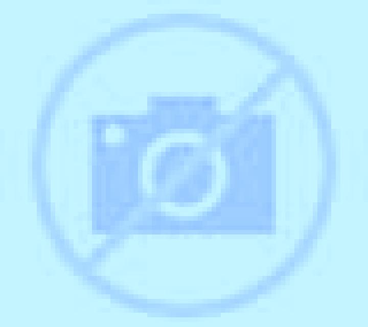 Noa Zarra escort
