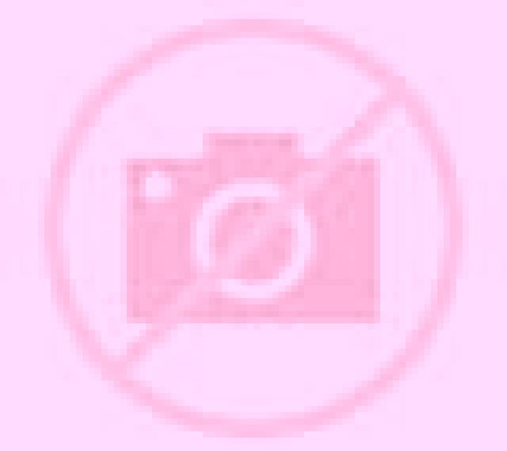 Nora 2 Zucaina escort