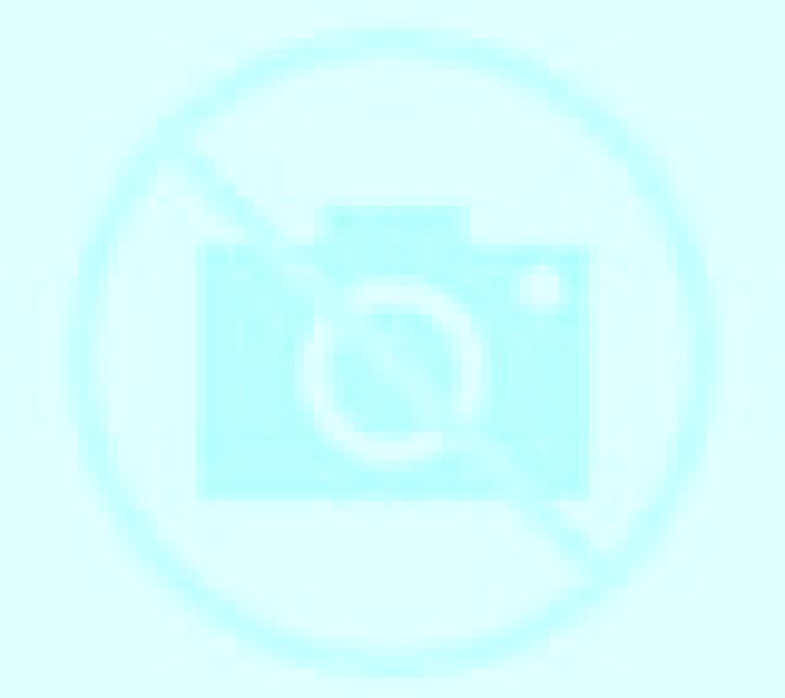 Nora 3 Orgaz escort