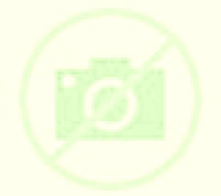 Nora 3 Plasenzuela escort