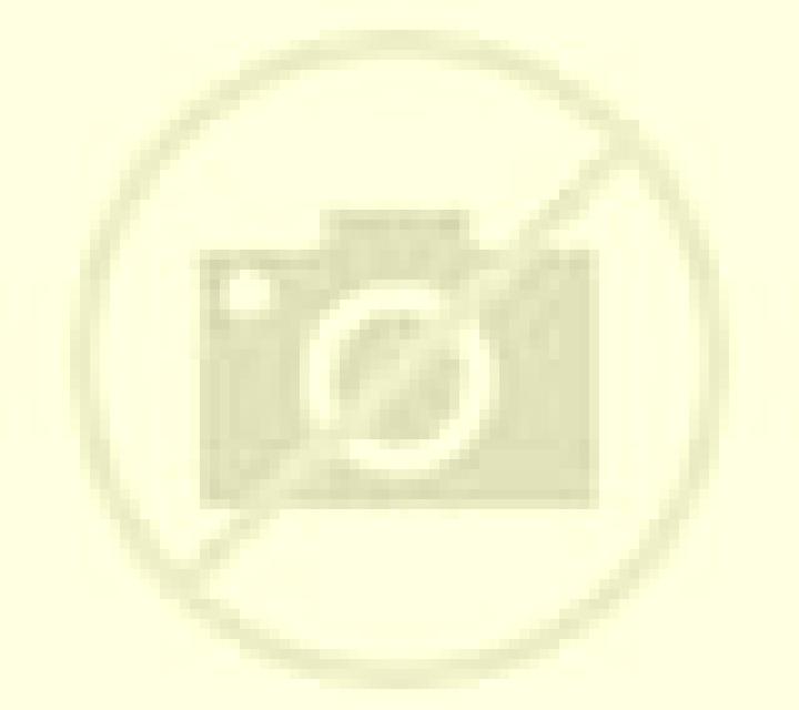 Nora Barroman escort
