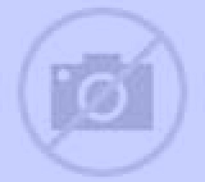 Nora Pelabravo escort