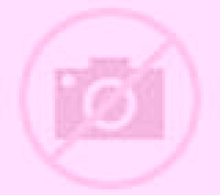 Olivia Abrantes escort