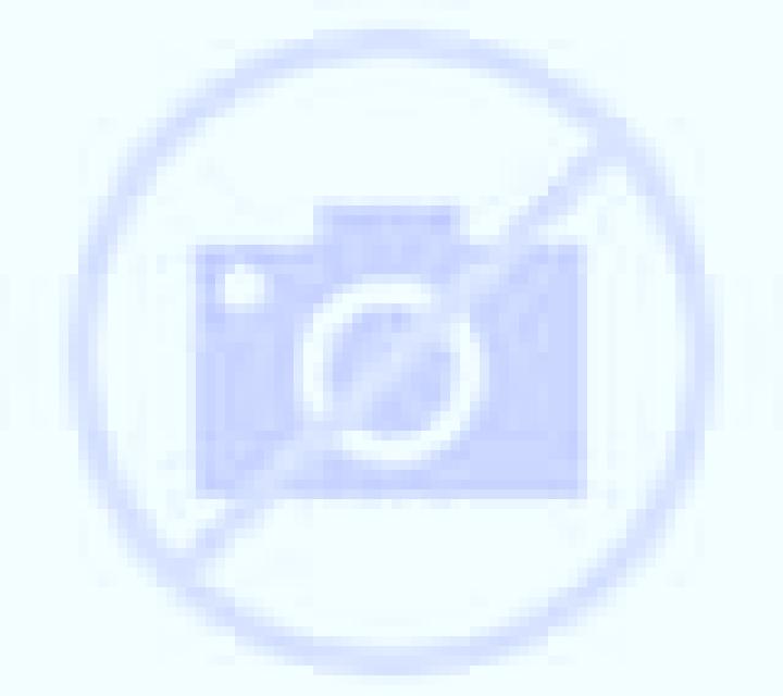 Olivia Ayerbe escort