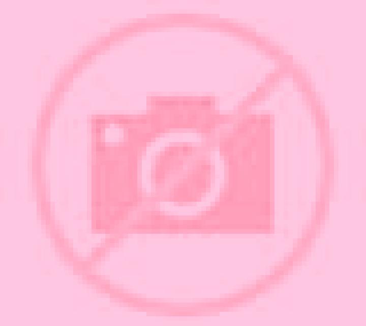 Olivia Tocina escort