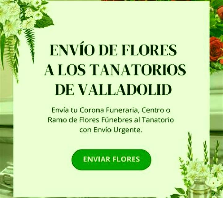 Paloma 2 Benavarri / Benabarre escort