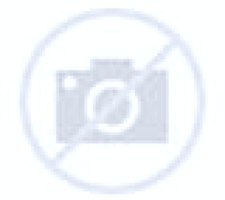 Paloma 2 Pauels escort