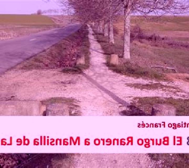 Paloma Grajal de Campos escort