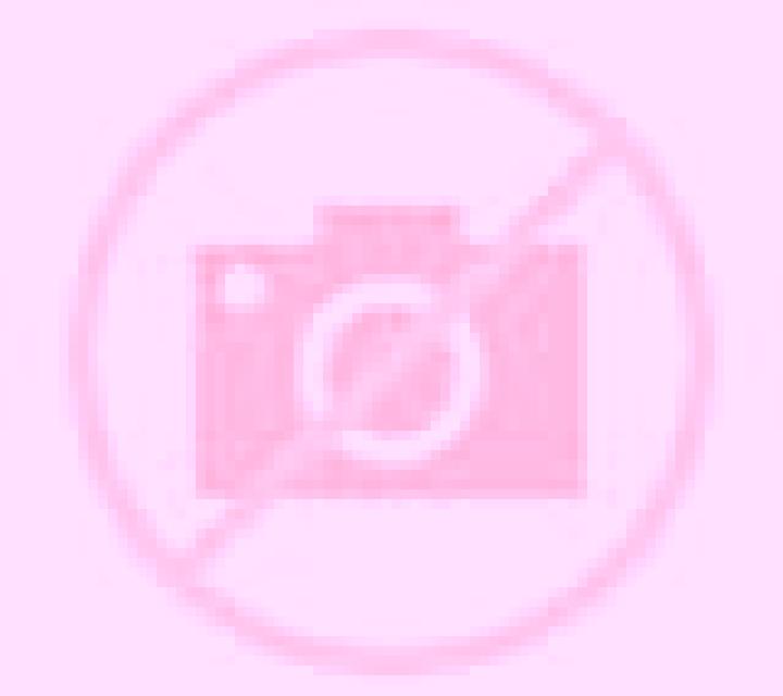 Paloma Suria escort