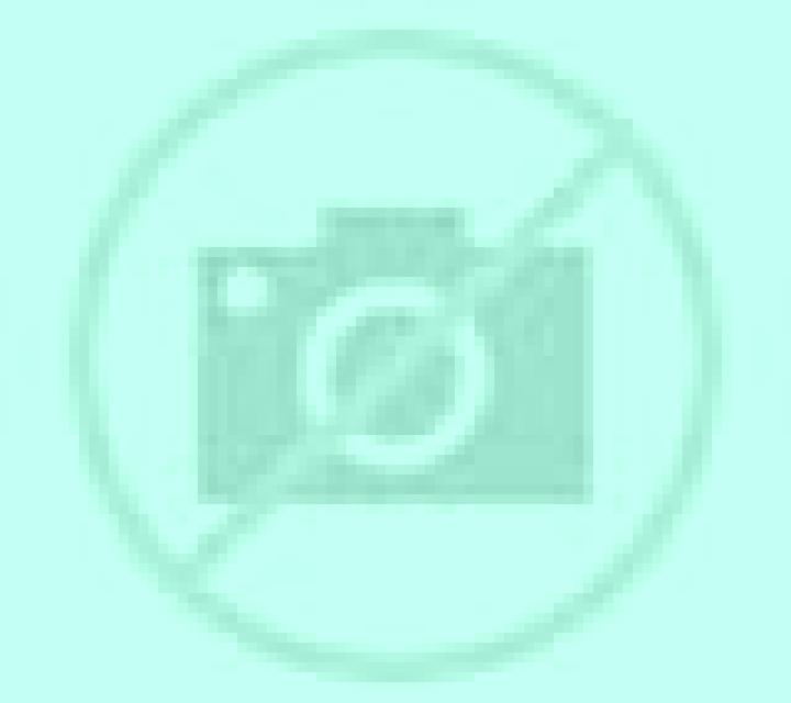 Patricia 3 Griegos escort