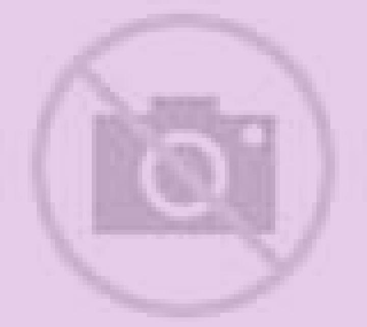 Paula 3 Abrucena escort