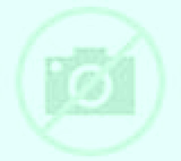 Paula Pinor escort