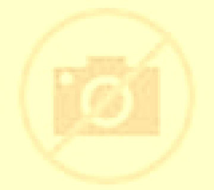 Regina 2 Abanades escort