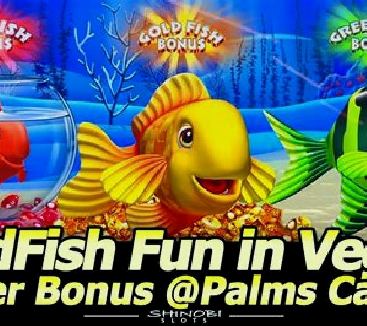 Regina 2 Fuensanta de Martos escort