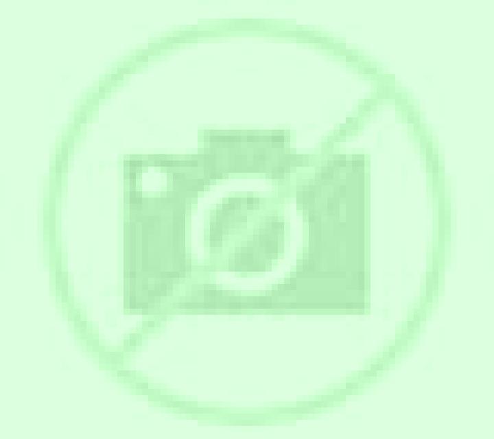 Regina Vilamaniscle escort