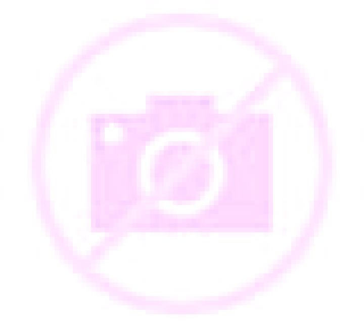Regina Zaragoza escort