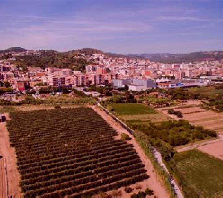 Rocío Sant Vicenc dels Horts escort