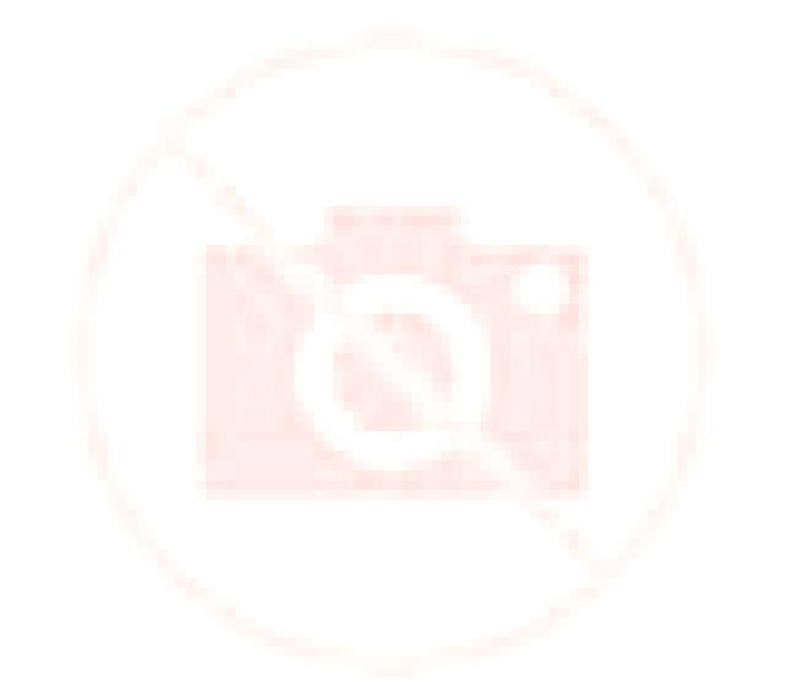 Rosa 3 Badules escort
