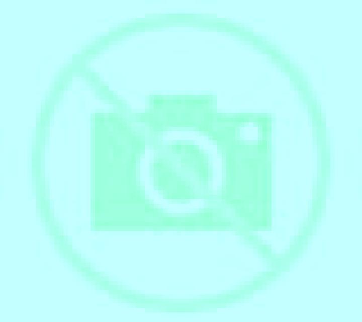 Rosa 3 Calles escort