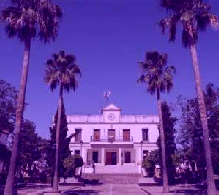 Rosa Castellar de la Muela escort