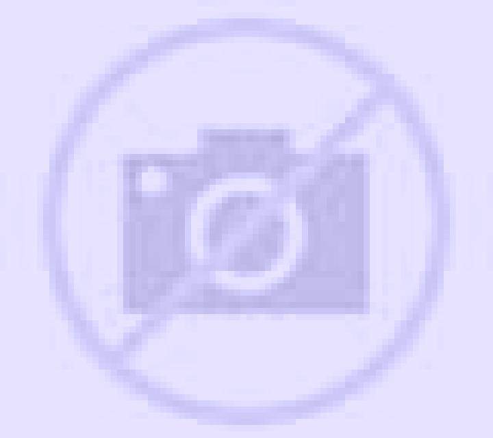 Rosa Torres de Segre escort