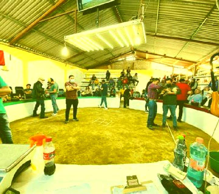 Sara 2 Torrebesses escort