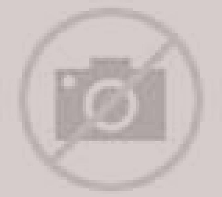Sara 3 Allepuz escort