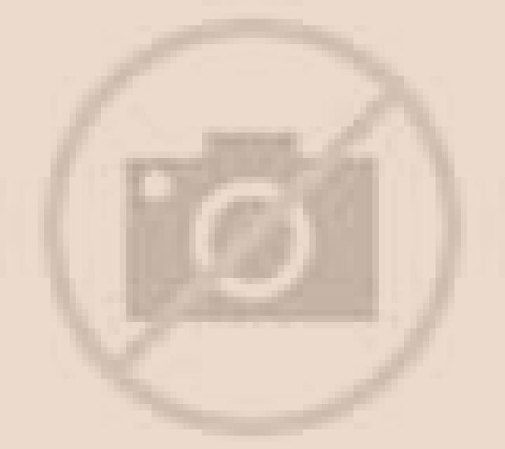 Selene 3 Almendral escort