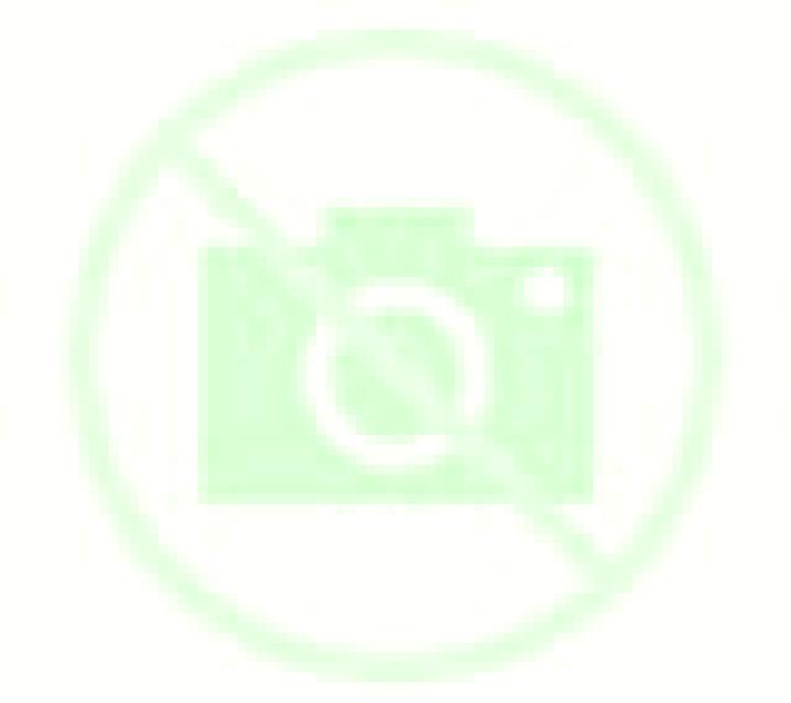 Selene Abarzuza escort