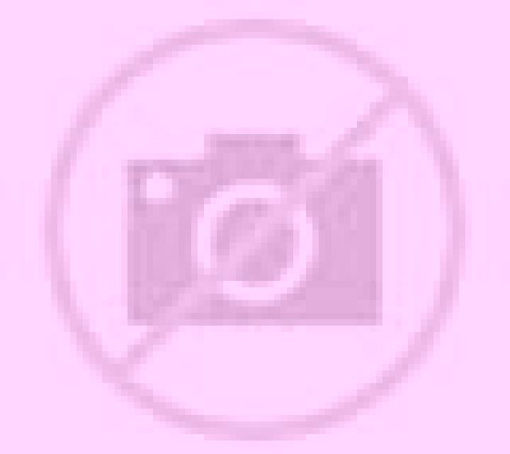 Selene Cantallops escort