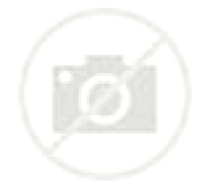 Selene El Perdigon escort